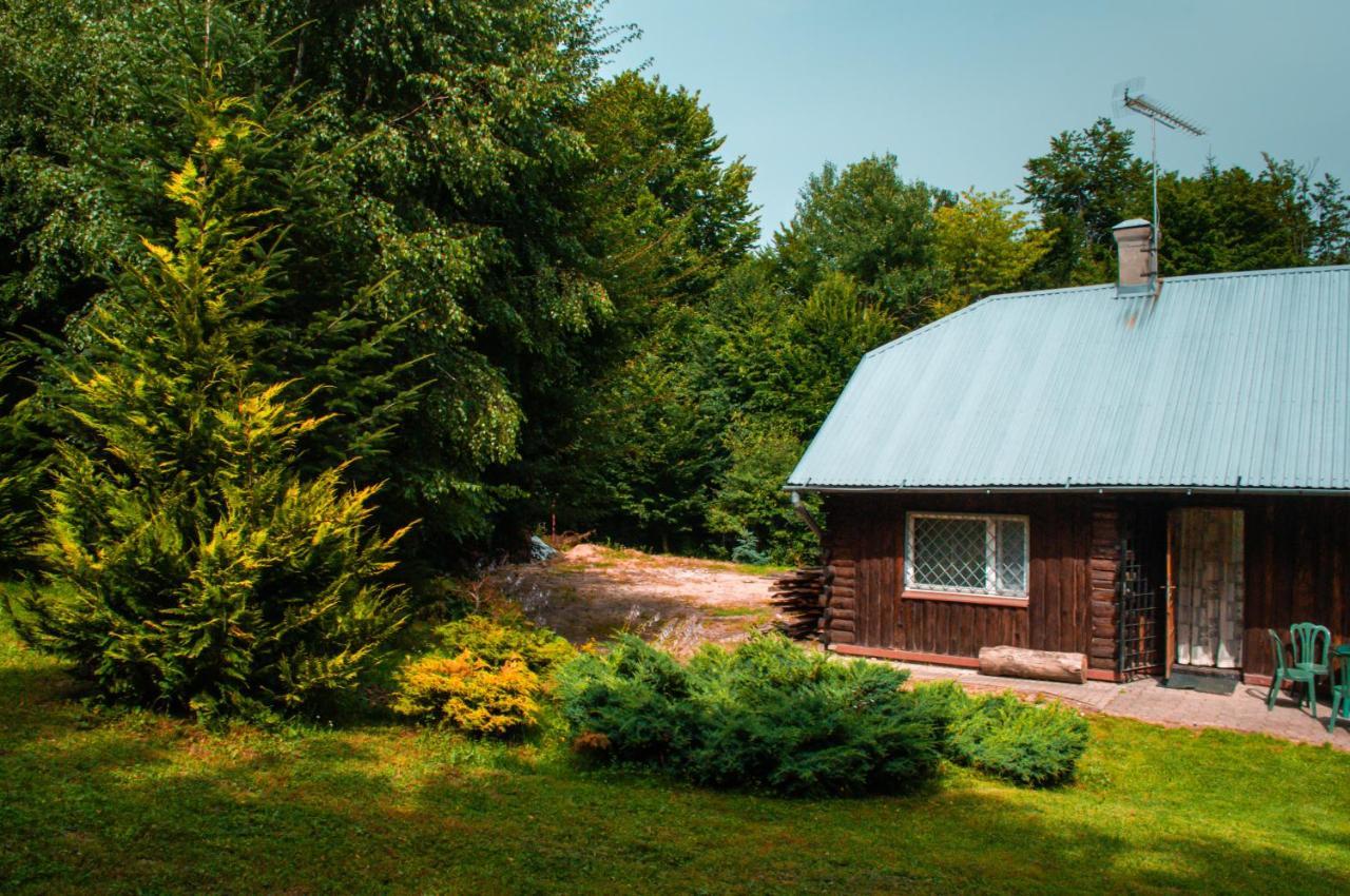 Villa Ptasi Spiew Futoma Exterior foto